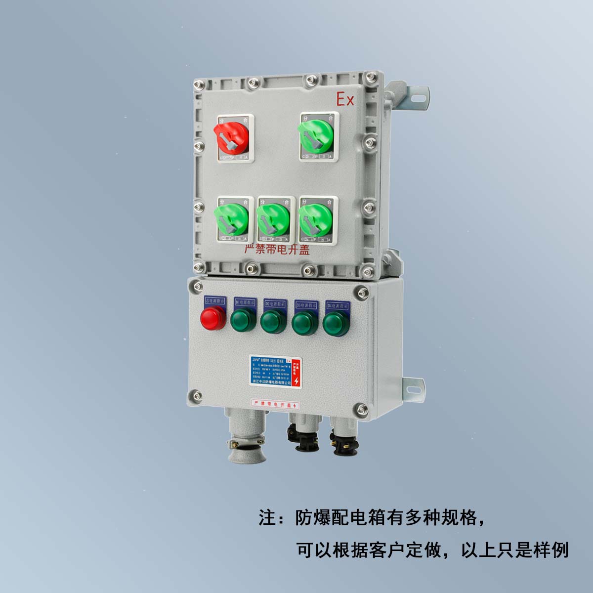 BXM(D)58 系列防爆照明(動(dòng)力)配電箱 (ⅡB、ⅡC、DIP)